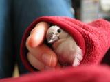 たぶん、そっちゃん