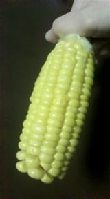 f3c6dc9d.jpg