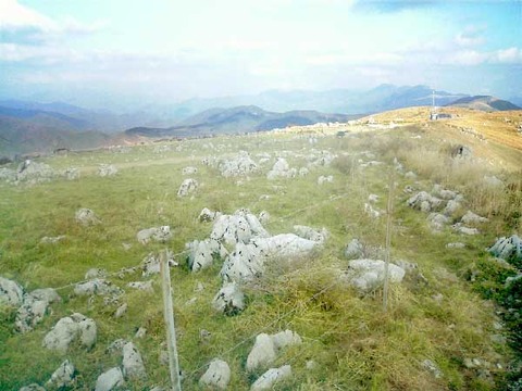 ShikokuKarusuto
