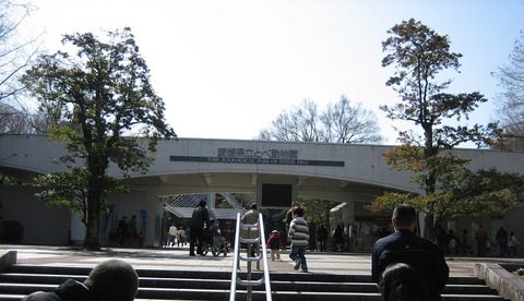 Tobe_zoo_とべ動物園