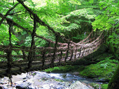 Tokushima_Miyoshi_Okuiya_Double_Kazurabashi_5