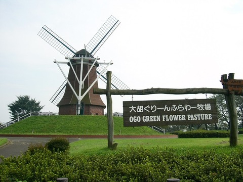 Michinoeki_green_flower_stock_farm_ogo