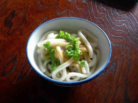 Ise-udon-01