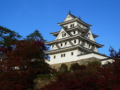 1024px-2017年秋季の郡上八幡城