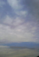 7b162561.jpg