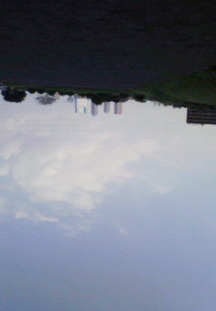 200910041240001