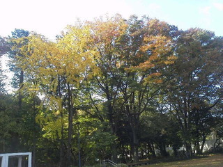 2013111112210000
