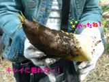 BlogPaint