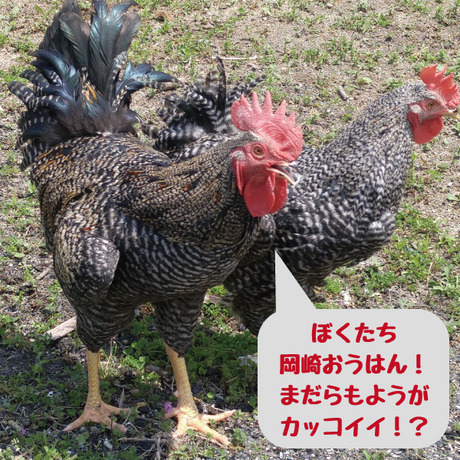 ouhan001