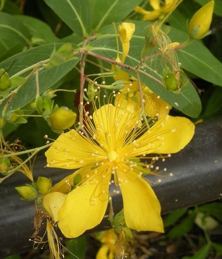 4a042cd0.jpg