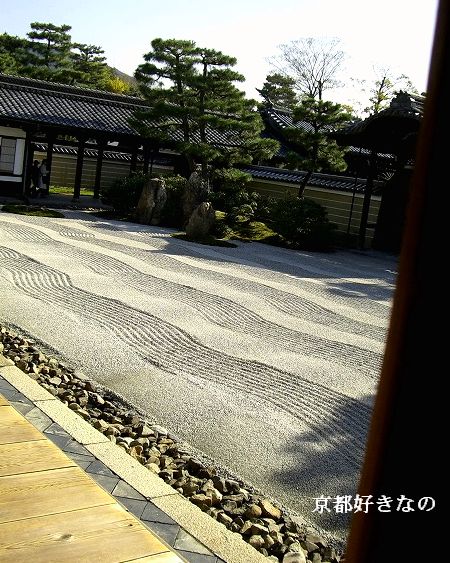 95c2815b.jpg