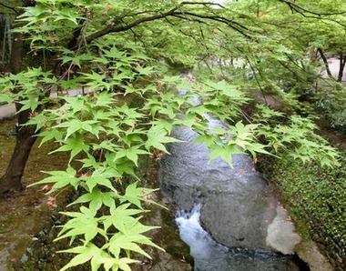odoino_2