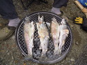 DSCN0869