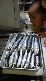 120104_214445