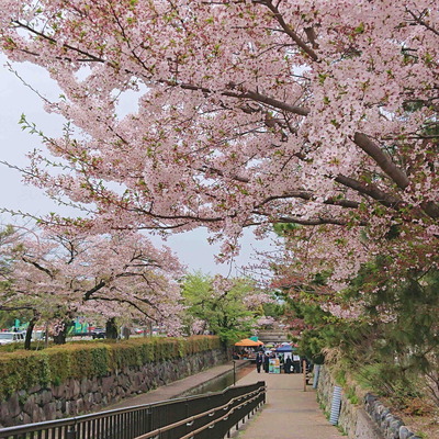 190414堀川1