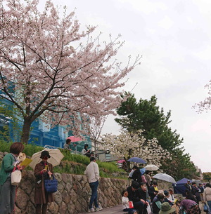 190414堀川2