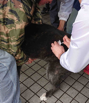 190414狂犬病予防注射