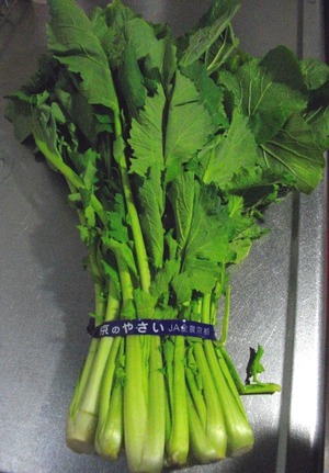 120203畑菜