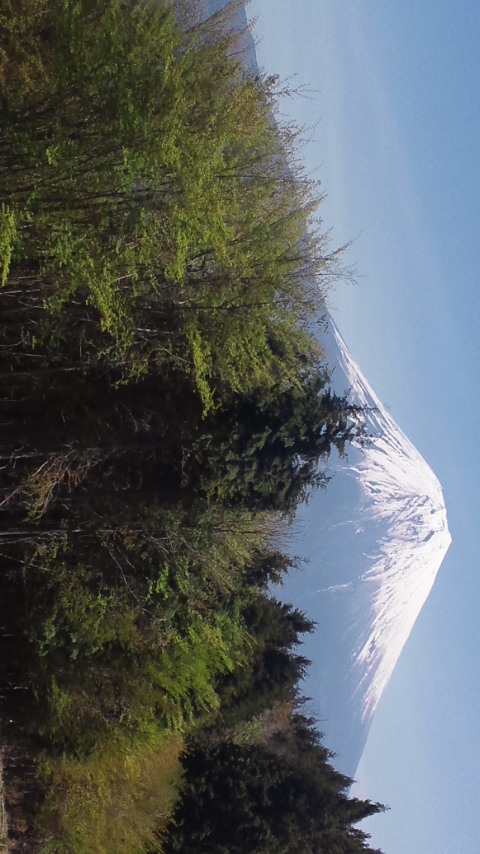 1a09070f.jpg