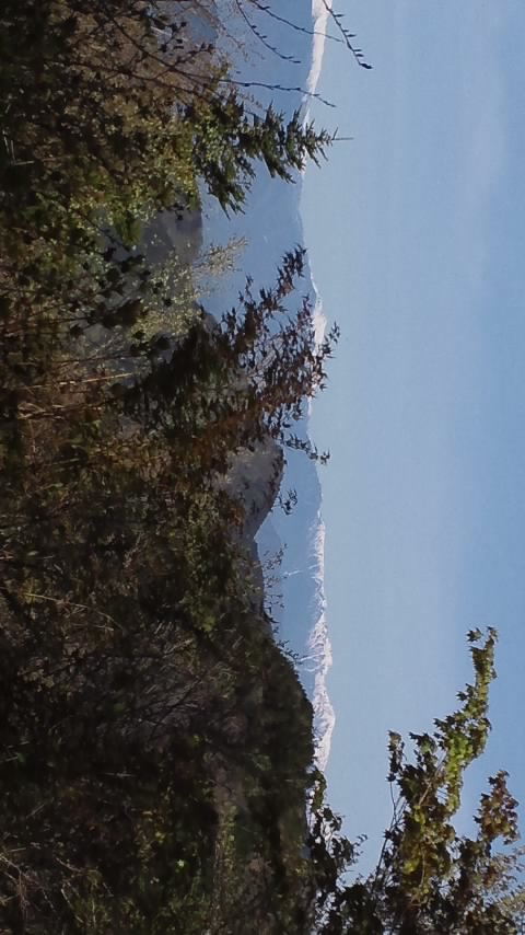 61c49743.jpg
