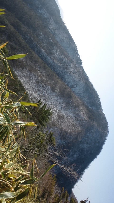 79a601b6.jpg