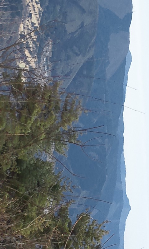 a94f4c86.jpg