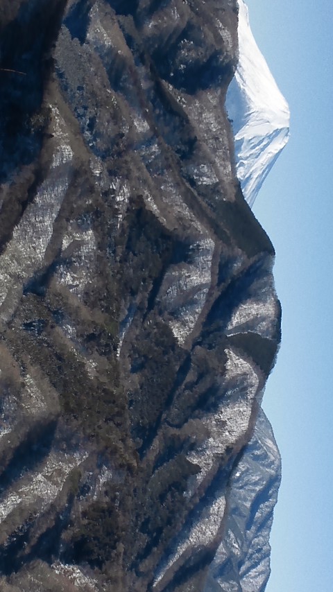 b343990c.jpg