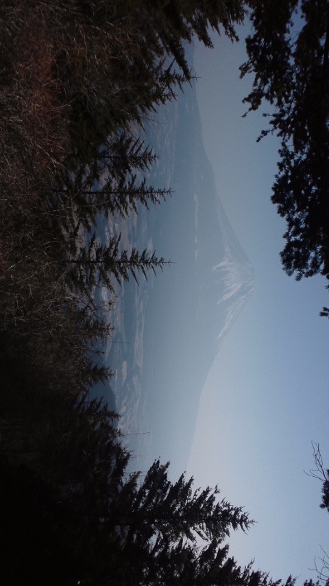 b989c8f6.jpg