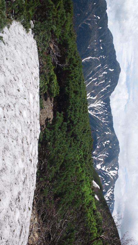 c058c98f.jpg