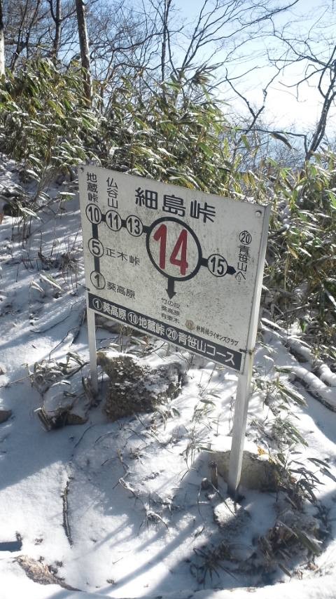 c689a39f.jpg