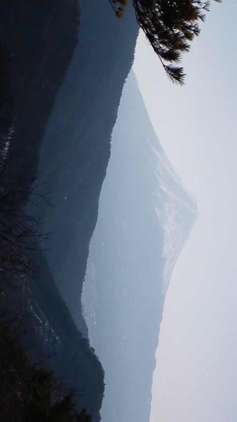 d0047286.jpg