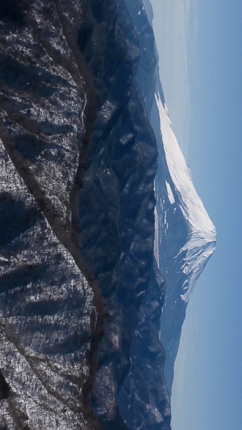 d34c2999.jpg