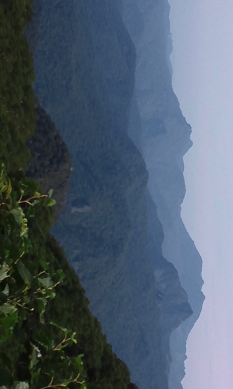 d8975b57.jpg