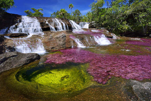 cano-cristales-liquid-rainbow-olivier-grunewald-01__880