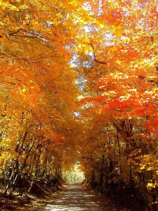 autumn_is_such_a_beautiful_season_640_high_28