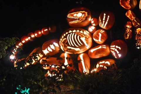 rise_of_the_jack_o_lanterns_20