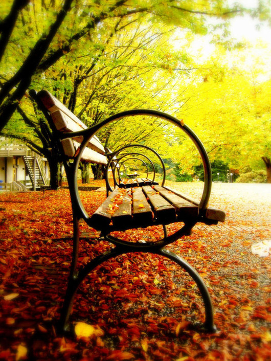 autumn_is_such_a_beautiful_season_640_high_04