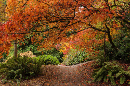 autumn_is_such_a_beautiful_season_640_25