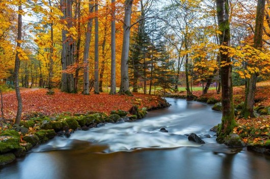 autumn_is_such_a_beautiful_season_640_14