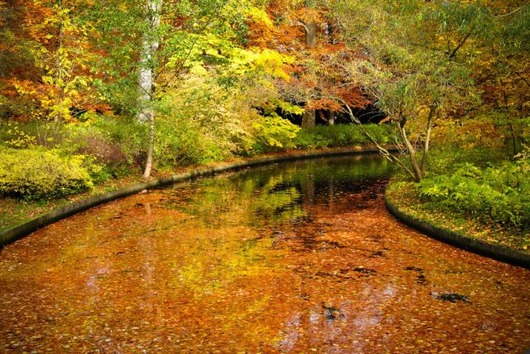 autumn_is_such_a_beautiful_season_640_20