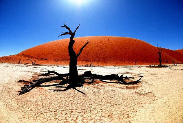 Deadvlei-Namibia-1