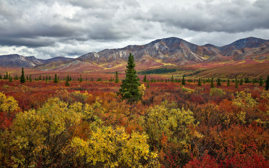 autumn_is_such_a_beautiful_season_640_17