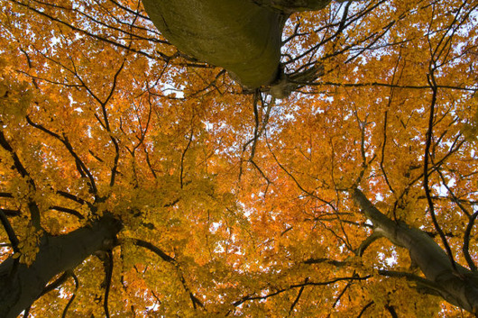 autumn_is_such_a_beautiful_season_640_18
