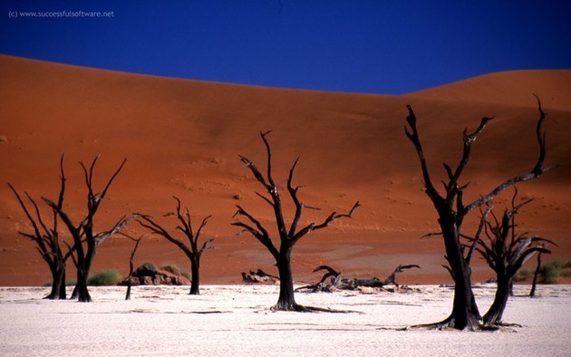 Deadvlei-Namibia-2