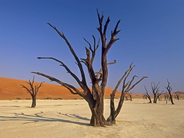 Deadvlei-Namibia-5