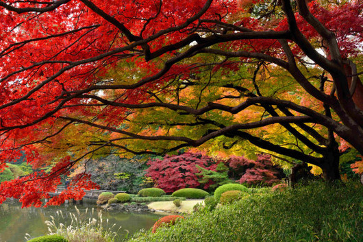 autumn_is_such_a_beautiful_season_640_29