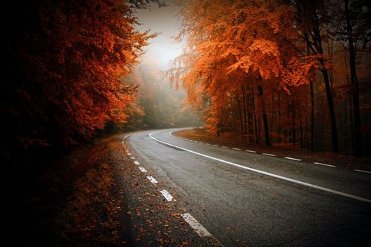autumn_is_such_a_beautiful_season_640_05