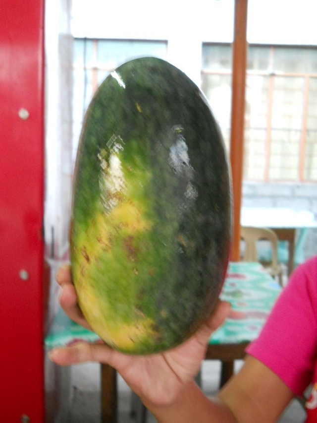 DSCN1489