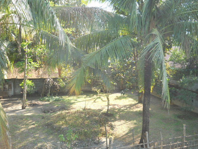 conv0042