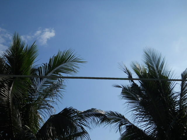 conv0041